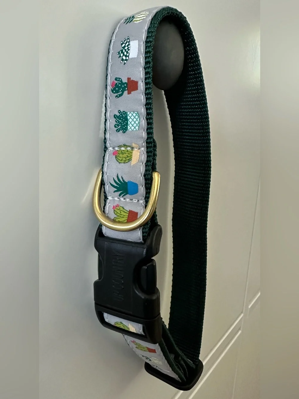 Up Country Green Cactus Print Adjustable Dog Collar with Gold Ring